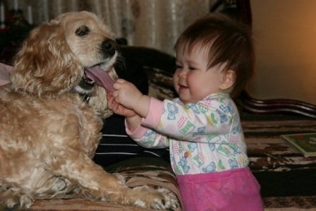 criança puxando a língua de cão
