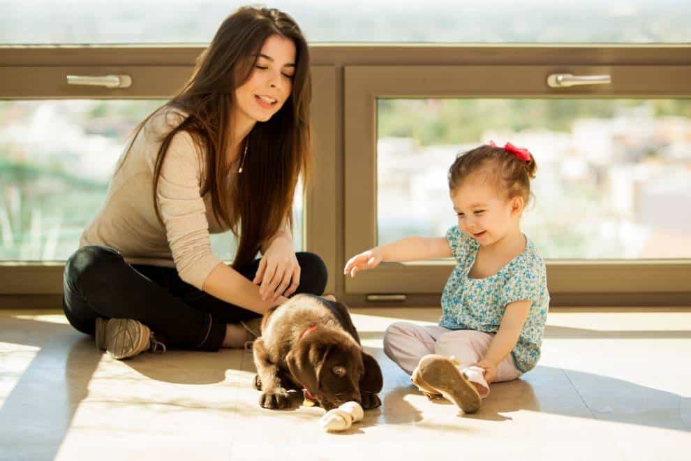 A família deve dar o exemplo e ensinar a criança como interagir de forma positiva com cães. Imagem: Mother Nature Network